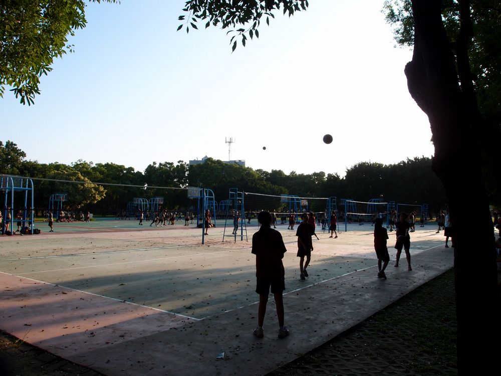 Volleyball Club