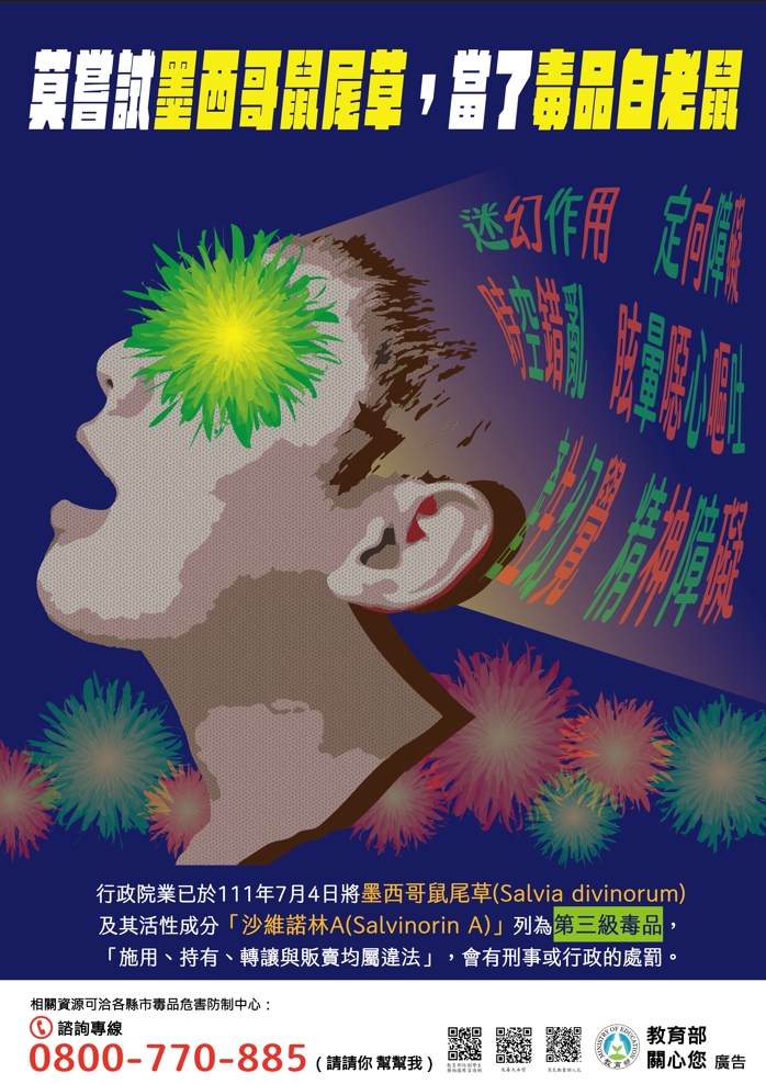 莫嘗試墨西哥鼠尾草