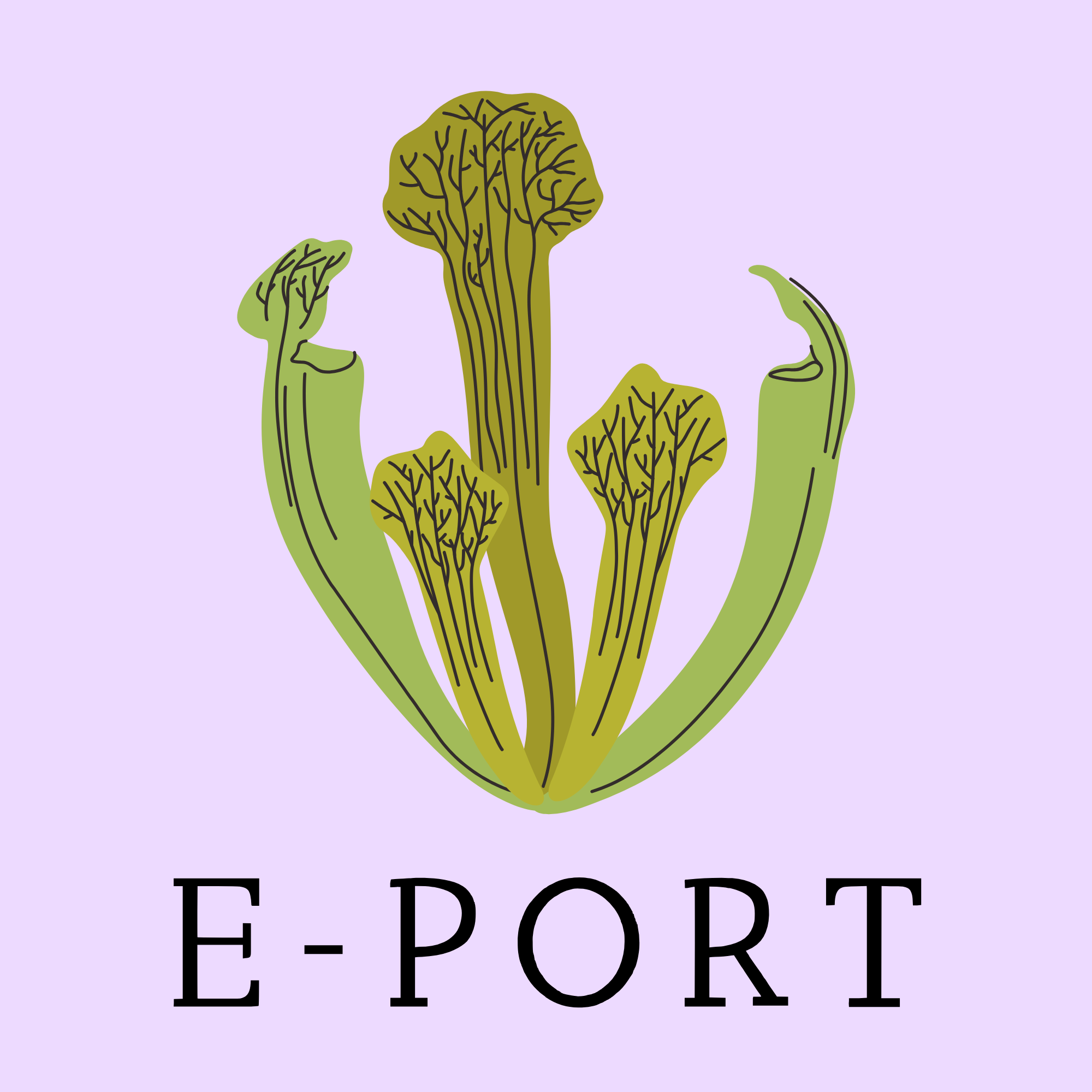 E-PORT落點分析